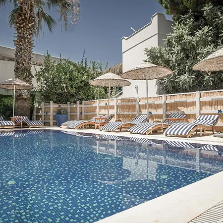 Olo Yalikavak 8 Min Gumusluk 3 Min * Bodrum