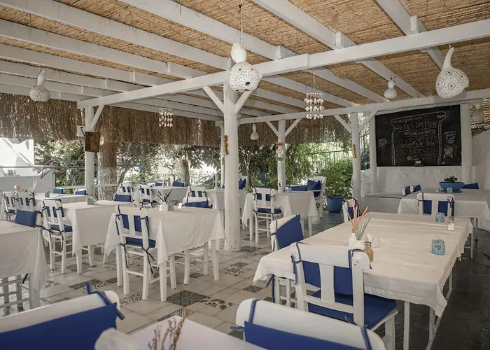 Olo Yalikavak 8 Min Gumusluk 3 Min Bodrum